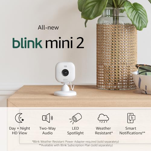Blink Mini 2  Pet Camera