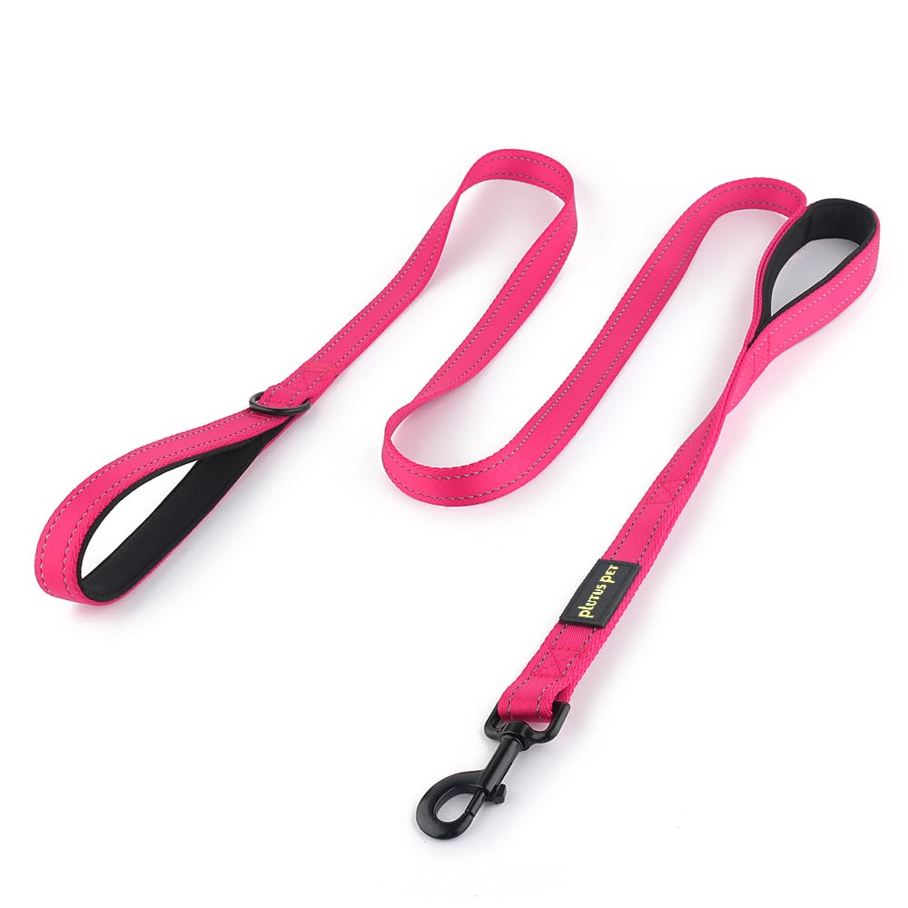 Double Handle Dog Leash 6ft Long