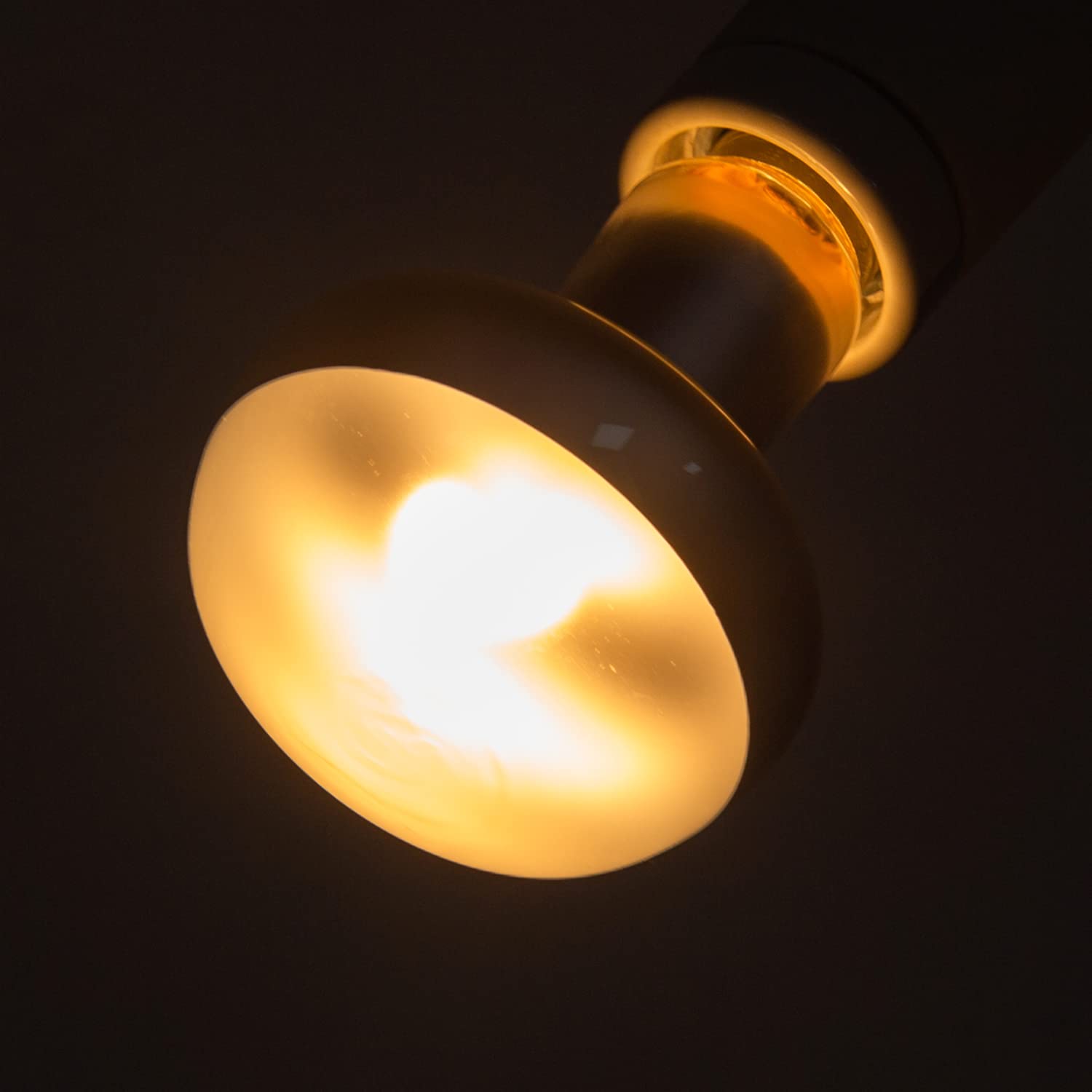 2 Pack Heat Lamp 100W