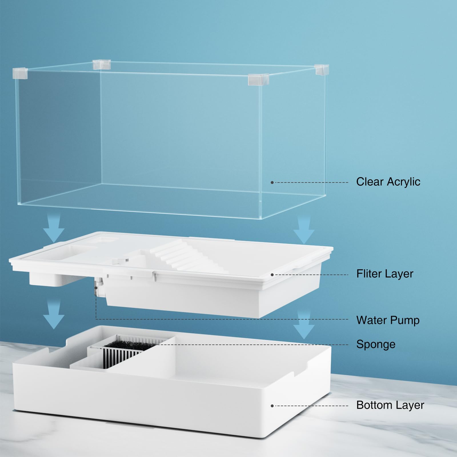 Turtle Tank Aquarium