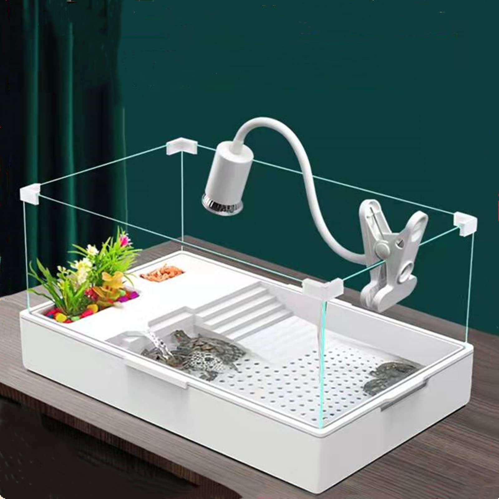 Turtle Tank Aquarium
