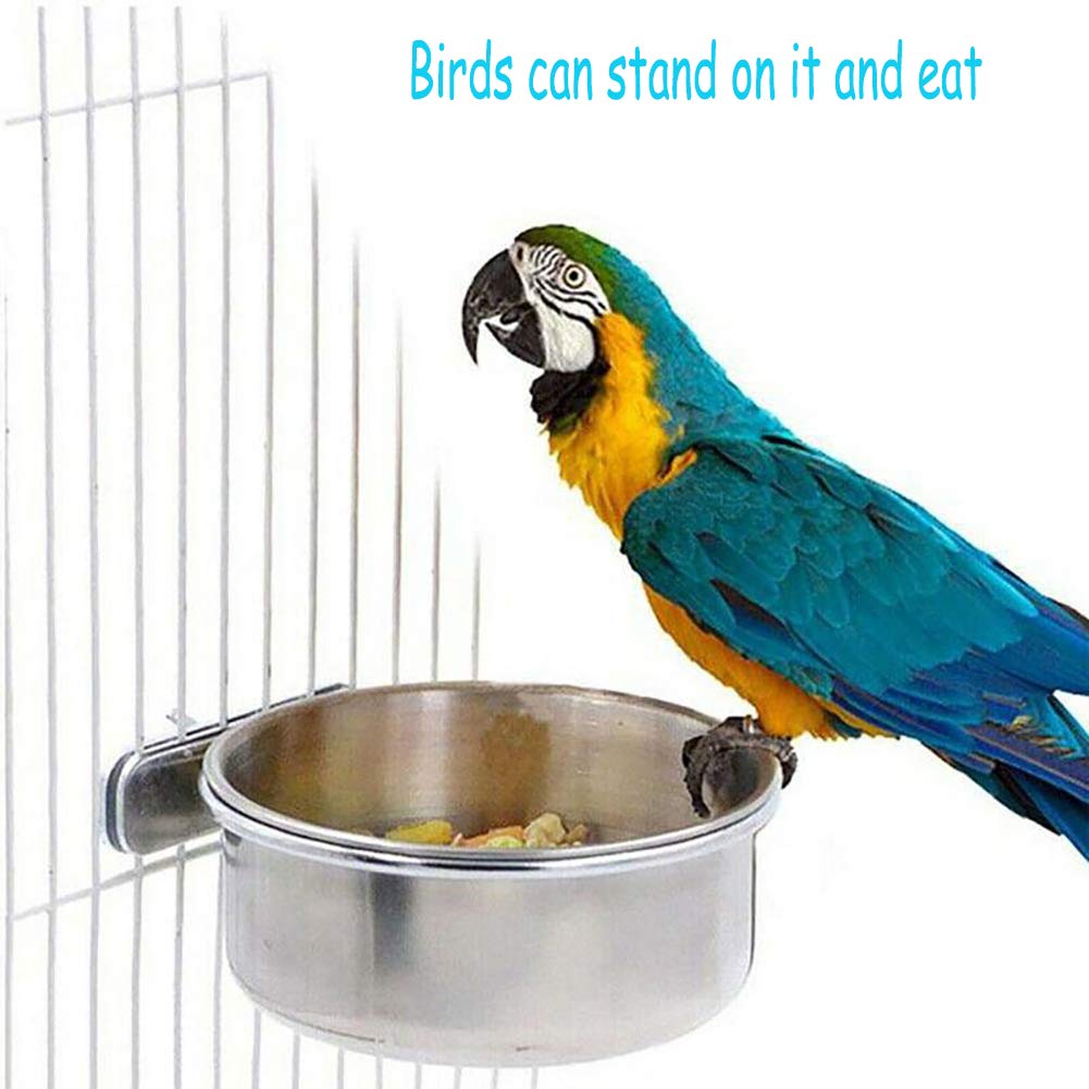 Bird Feeding Cups