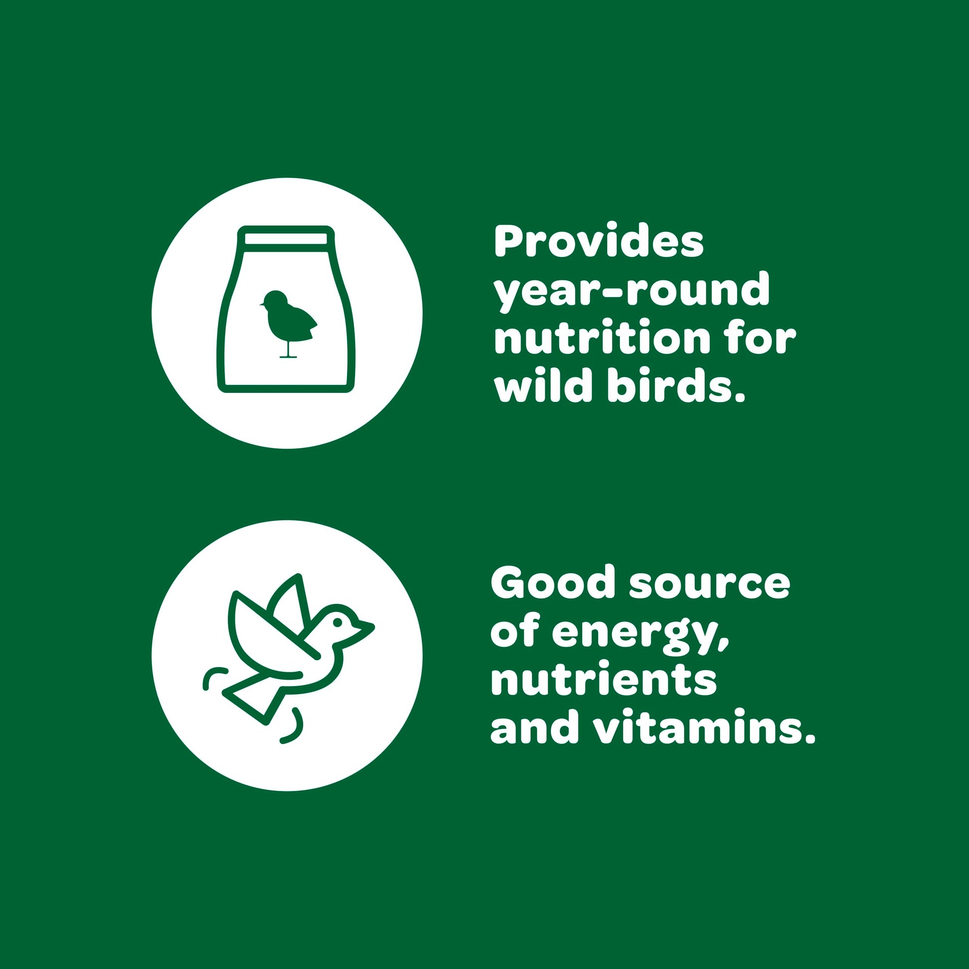 Wild Bird Basic Seed 10 lb