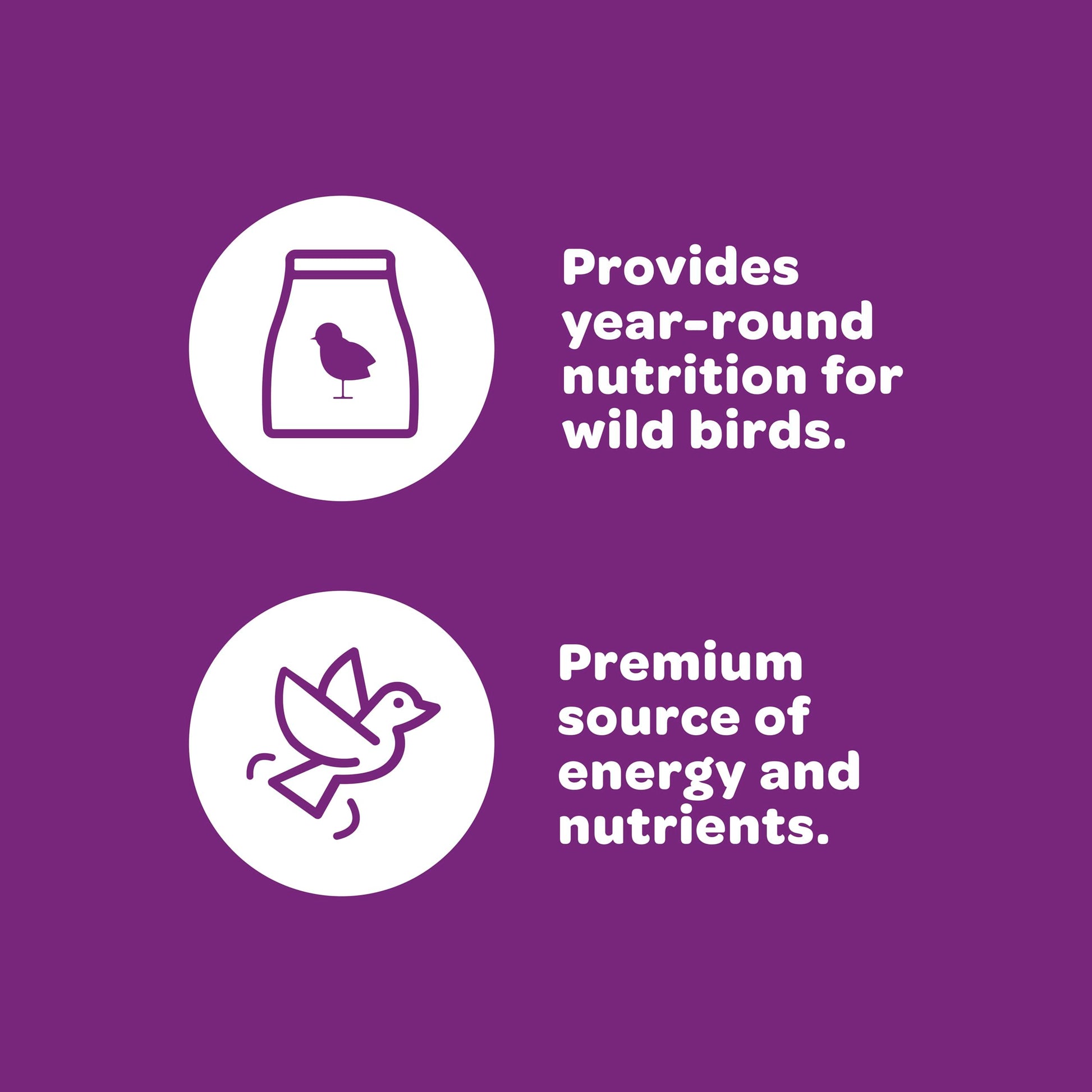 Nut & Fruit Wild Bird Seed 5 lb