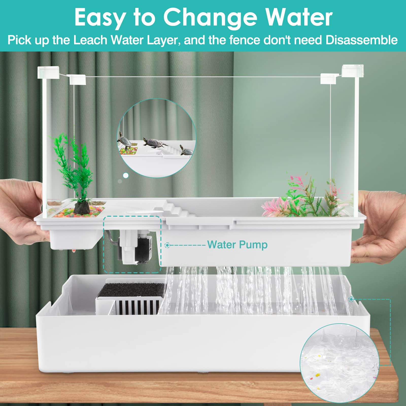 Turtle Tank Aquarium