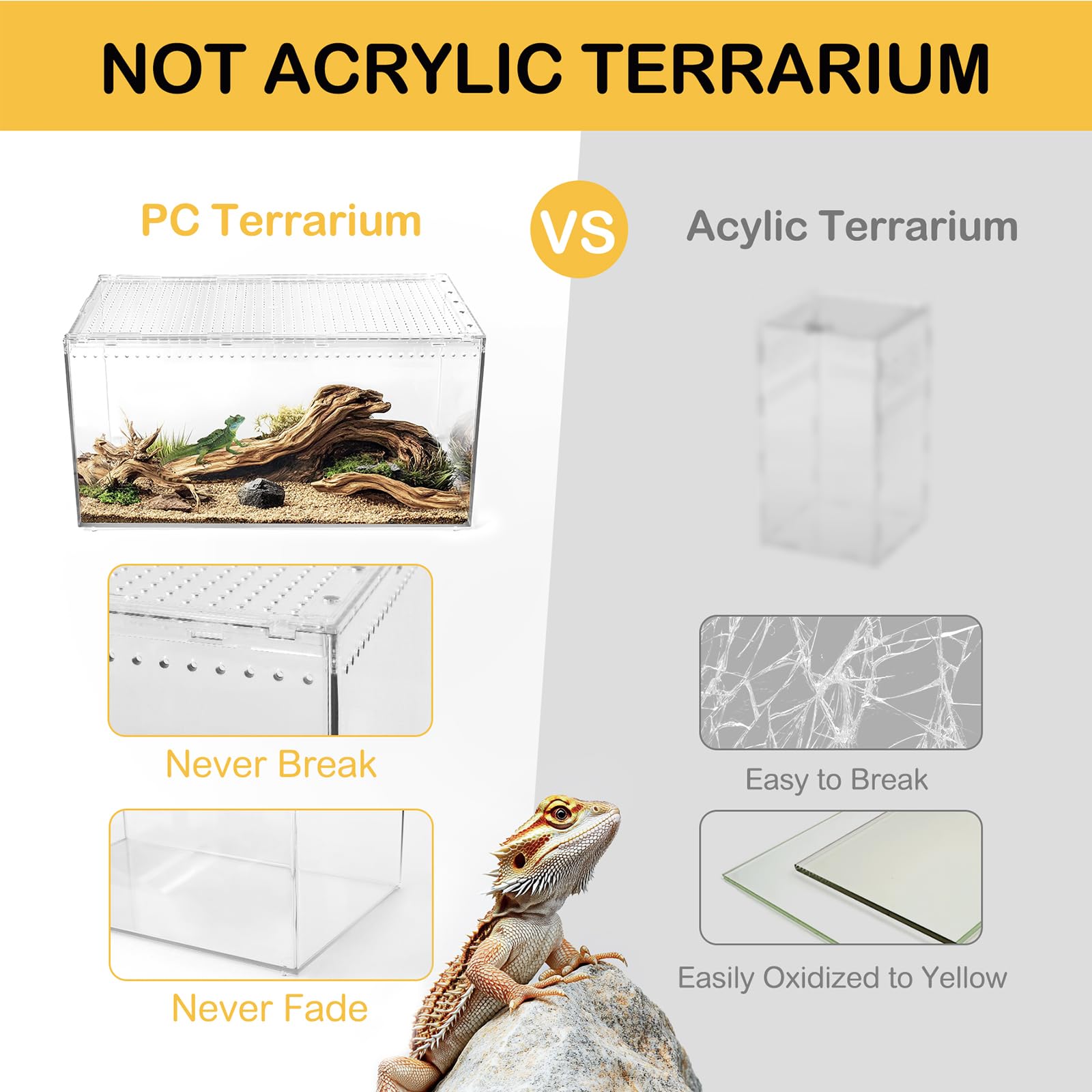 Reptile PC Terrarium