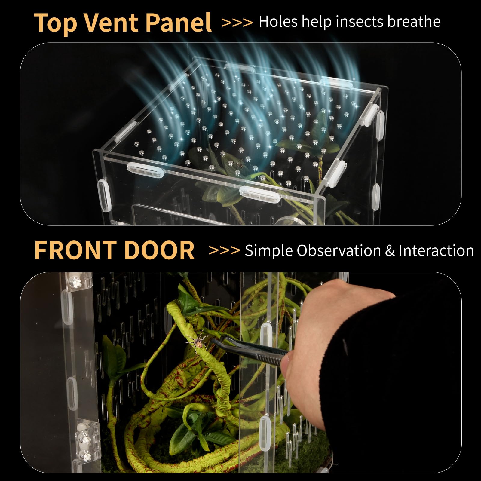 Reptile Terrarium Easy Assembly, 360° Clear