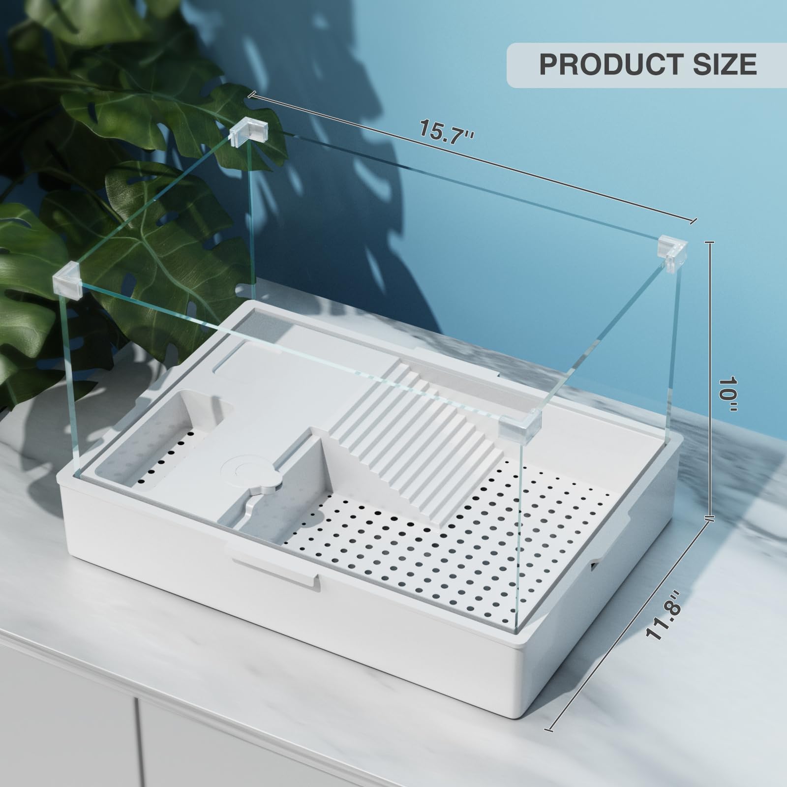 Turtle Tank Aquarium