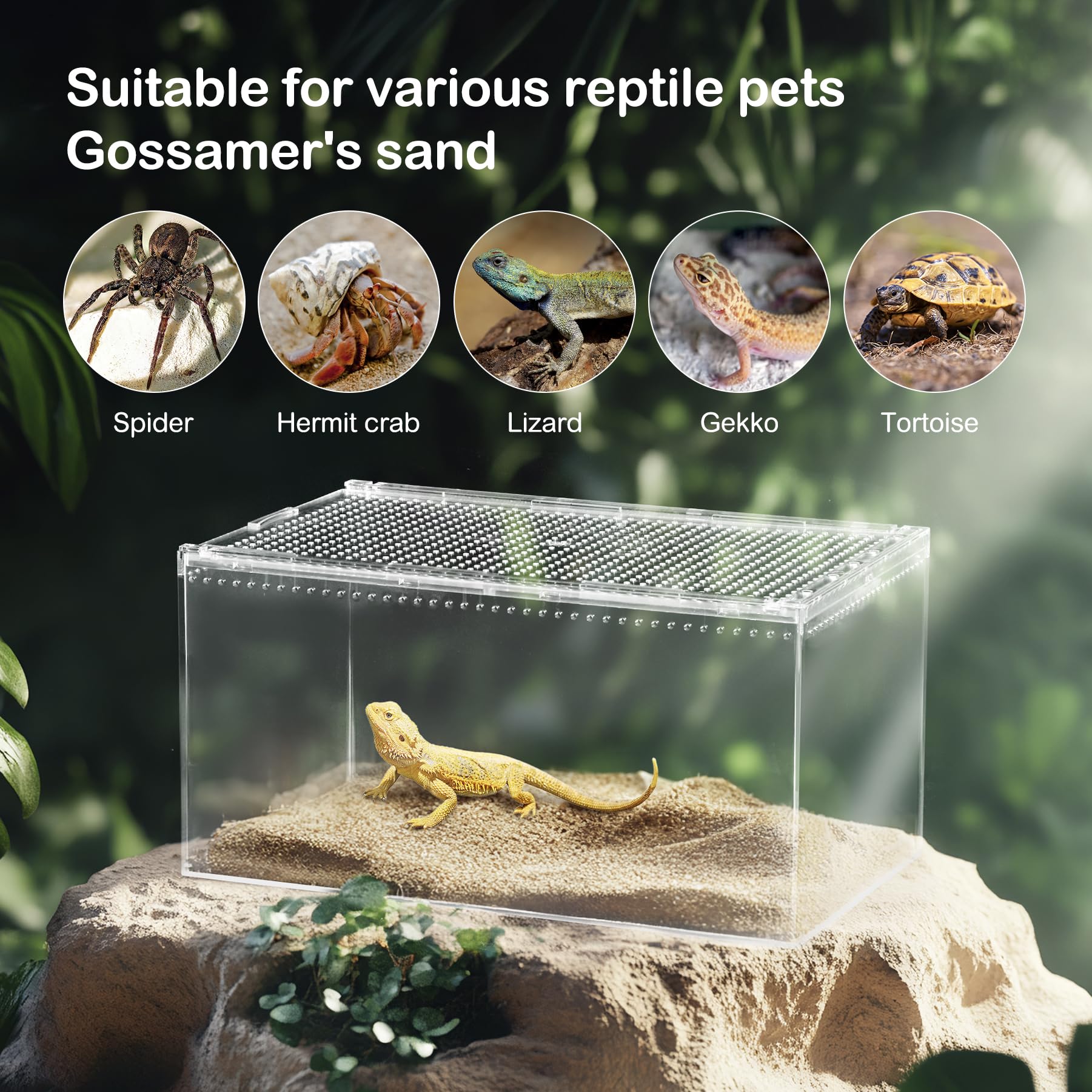Reptile PC Terrarium