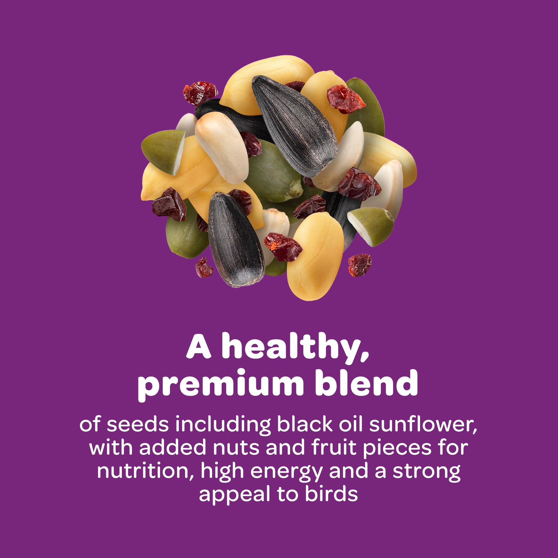 Nut & Fruit Wild Bird Seed 5 lb