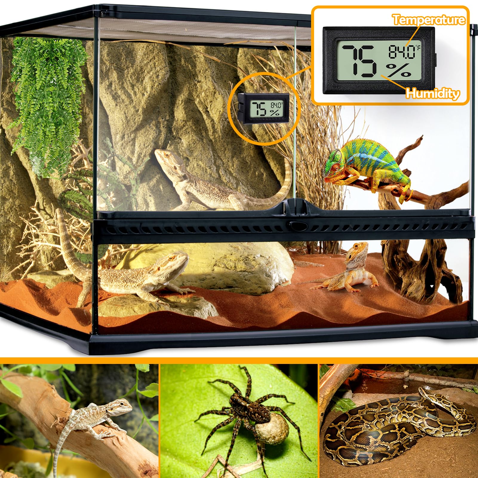 Rectangle Reptile Thermometer and Humidity Gauge for Reptiles