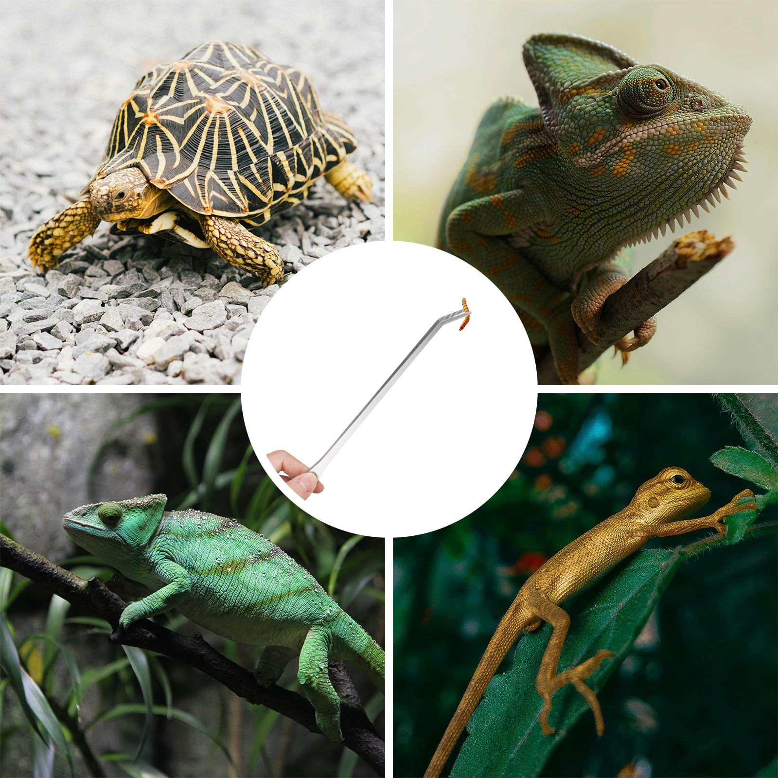 2PCS Long Aquarium Tweezers - 10.6" Straight and Curved Tweezers, Stainless Steel Reptile Feeding tongs