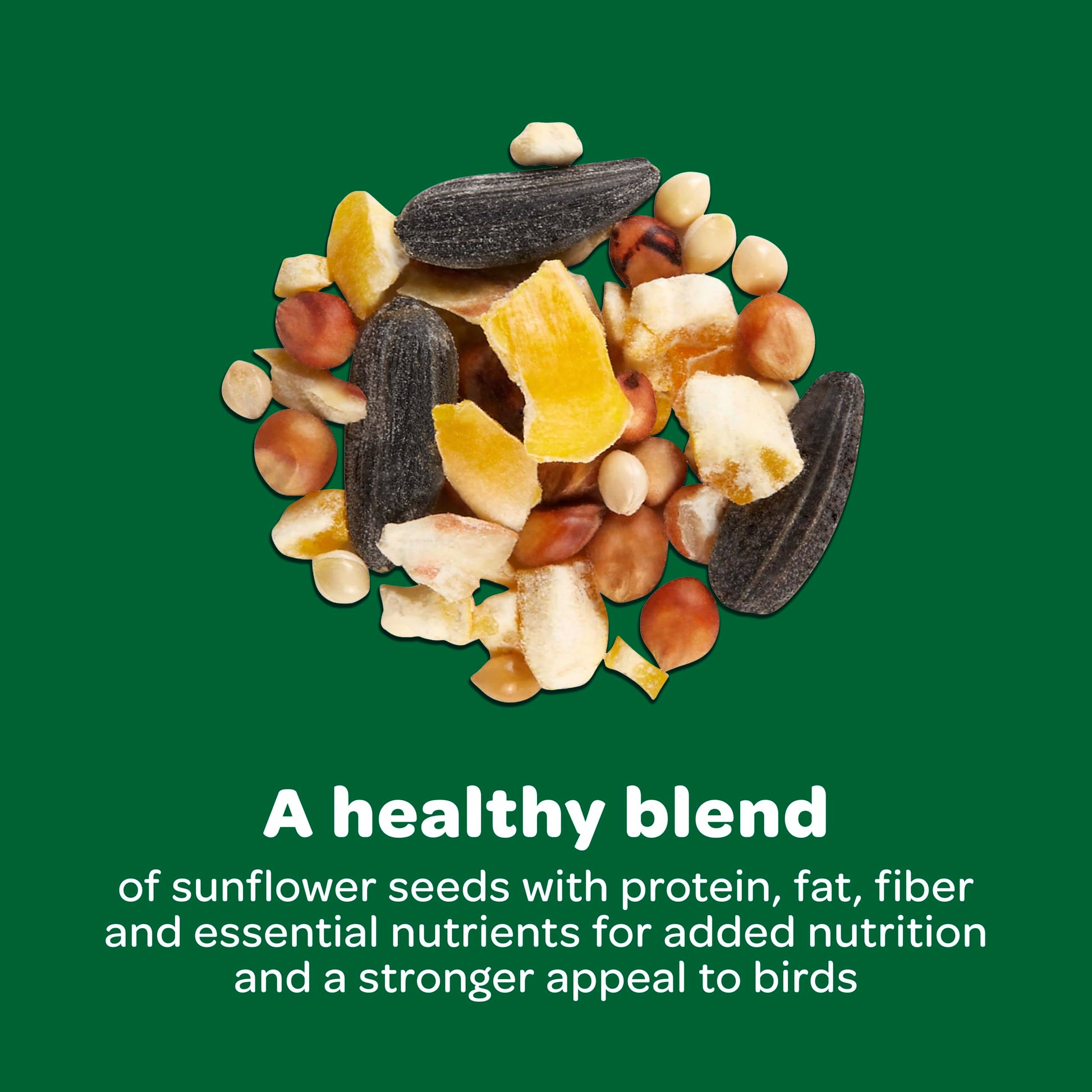 Wild Bird Basic Seed 10 lb