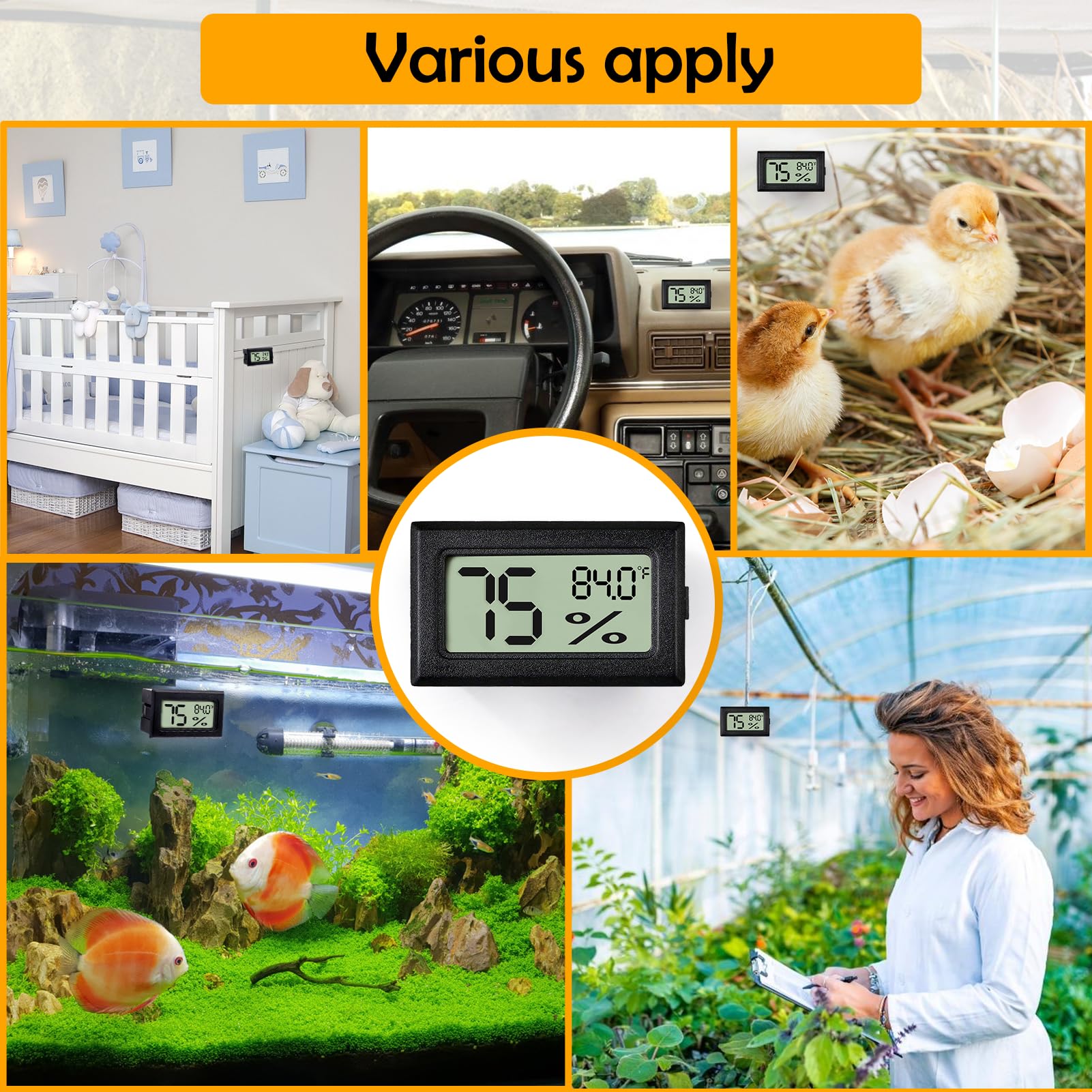 Rectangle Reptile Thermometer and Humidity Gauge for Reptiles