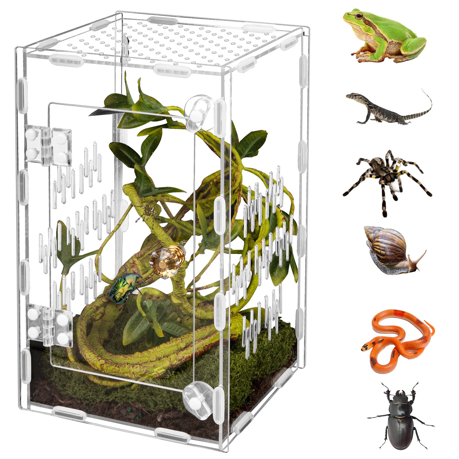 Reptile Terrarium Easy Assembly, 360° Clear