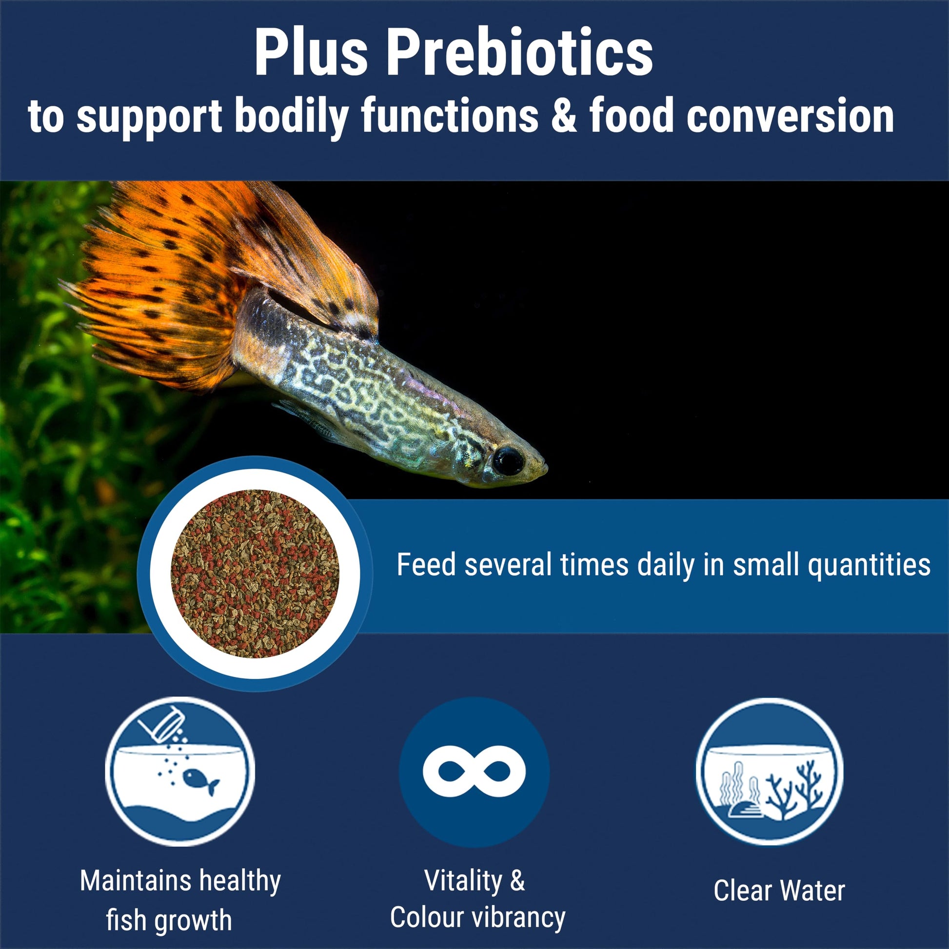 Nutritionally Balanced Tropical Flake Food for Tropical Fish