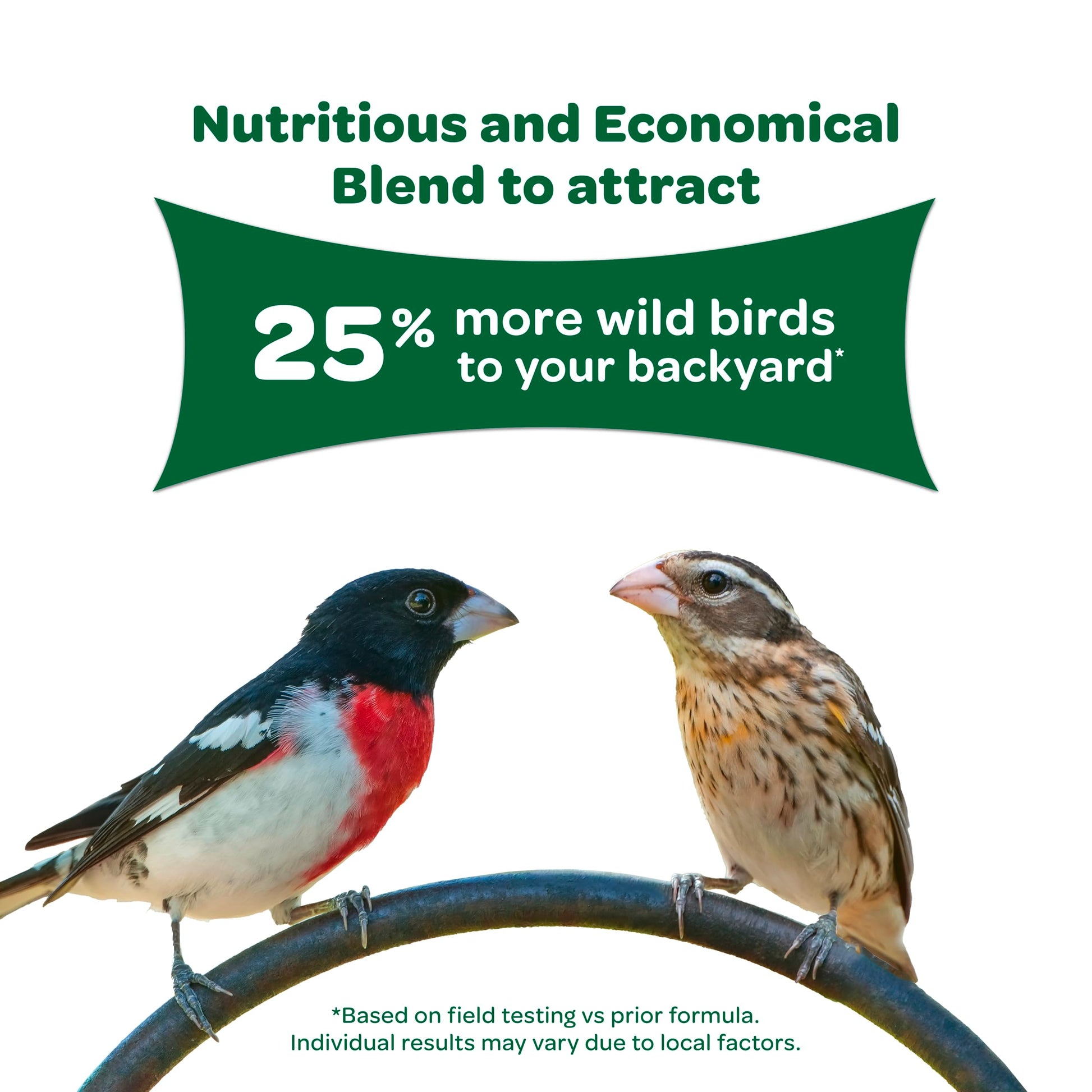 Wild Bird Basic Seed 10 lb