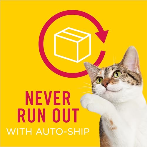 Purina Friskies Dry Cat Food Seafood Sensations 22 lb.