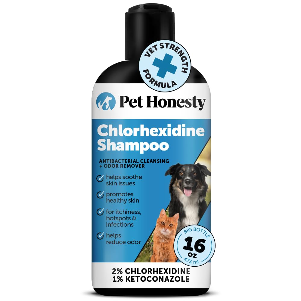 Chlorhexidine Cat & Dog Seasonal Itch Relief Shampoo 16 oz