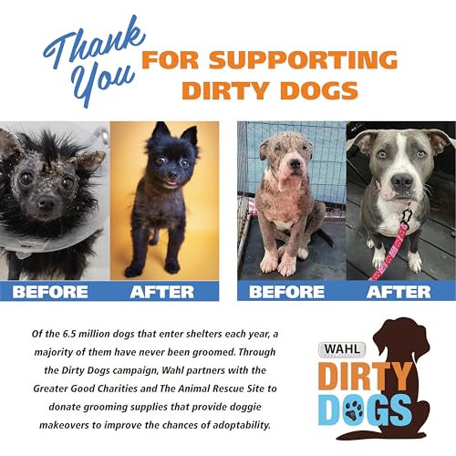 Dry Skin & Itch Relief Pet Shampoo for Dogs – Oatmeal Formula with Coconut Lime