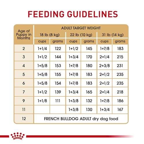 Royal Canin French Bulldog Puppy Dry 10.5 lb Bag