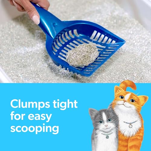 Fresh Step Clumping Cat Litter 14 lb