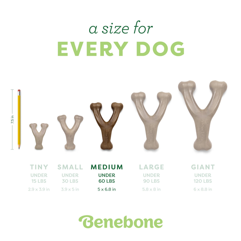 Wishbone Dog Chew Toy (Real Bacon)