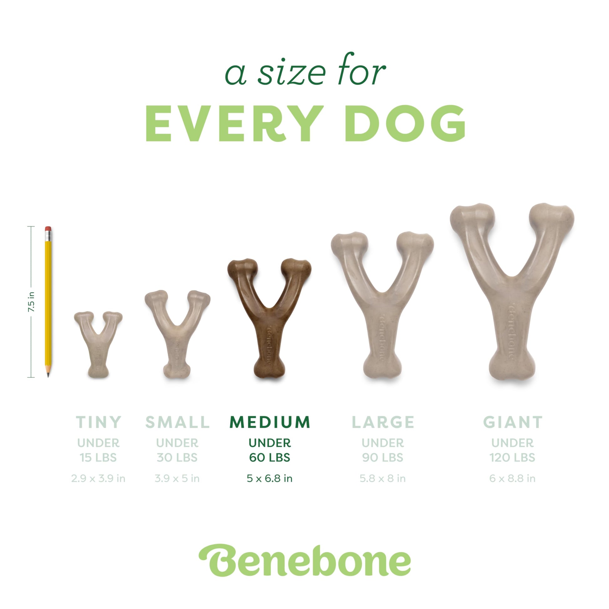 Wishbone Dog Chew Toy (Real Bacon)