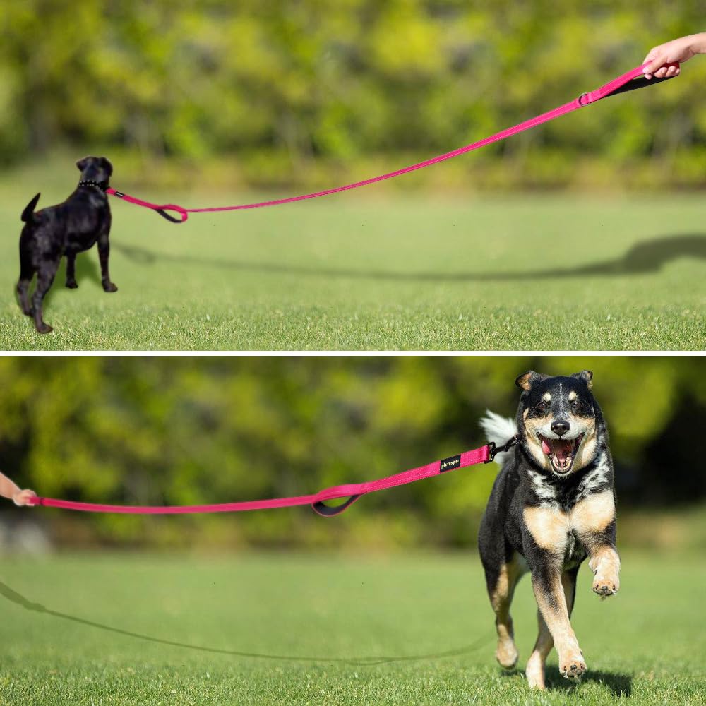 Double Handle Dog Leash 6ft Long