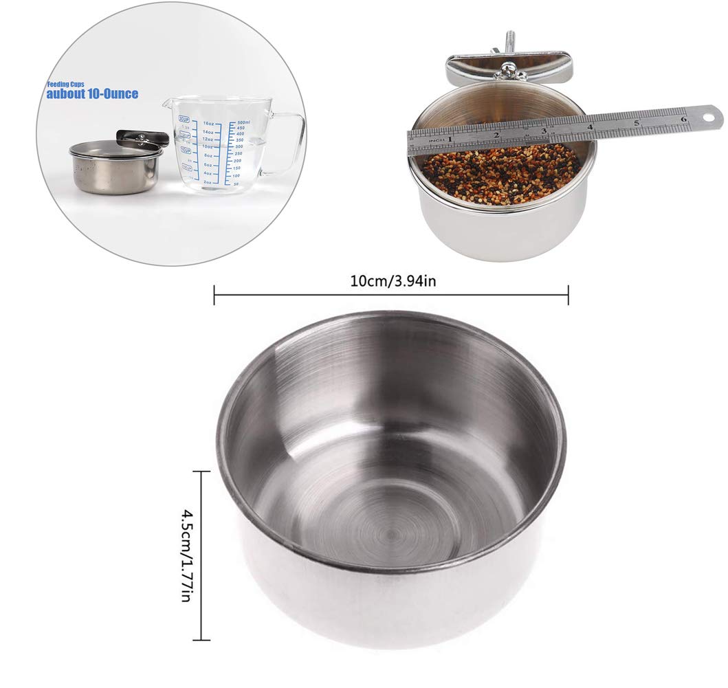 Bird Feeding Cups