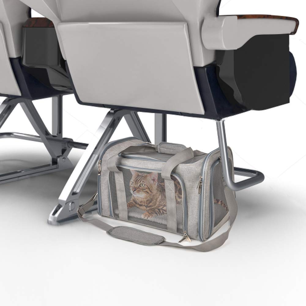 Airplane Approves Pet Carrier For Small Pets