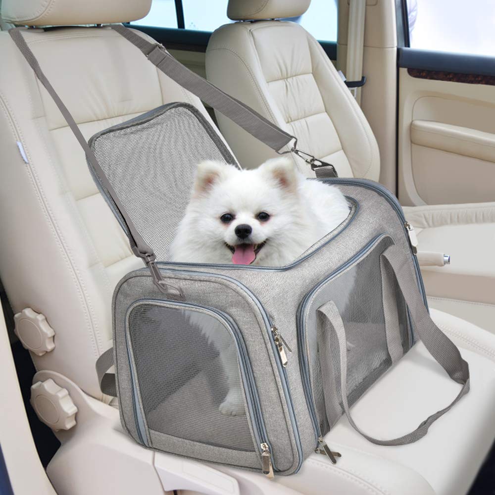 Airplane Approves Pet Carrier For Small Pets