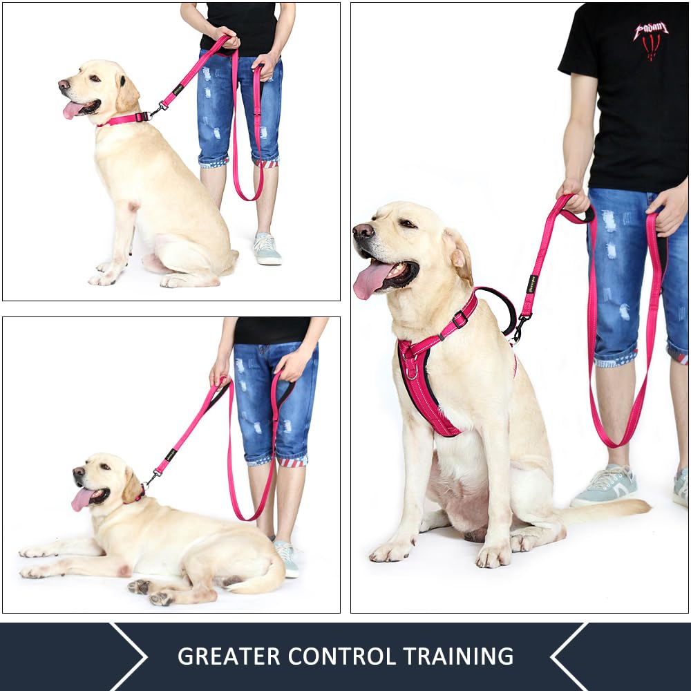 Double Handle Dog Leash 6ft Long