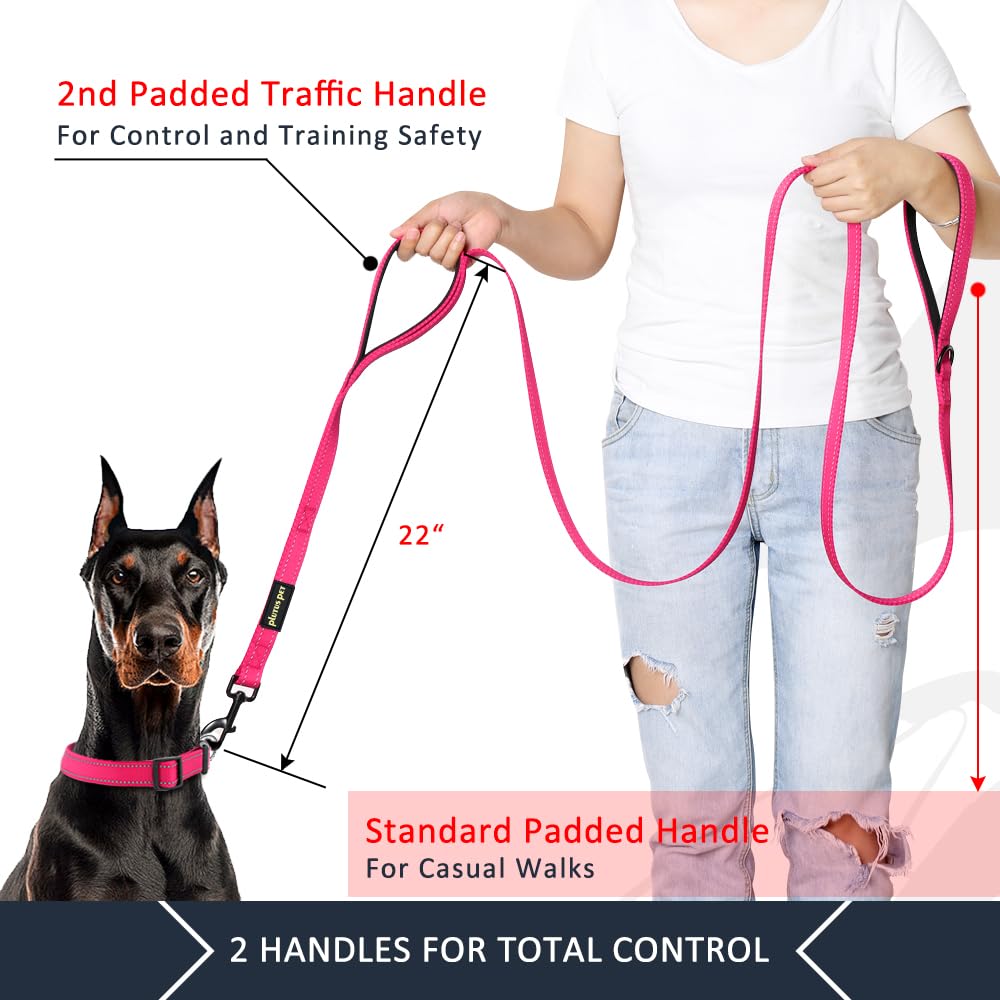 Double Handle Dog Leash 6ft Long