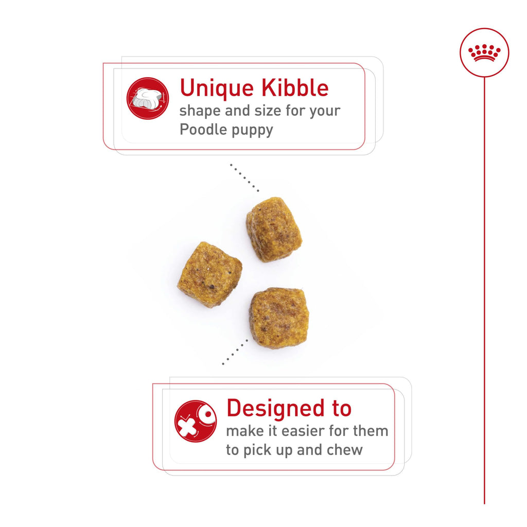 Royal Canin Poodle Puppy 2.5 lb Bag