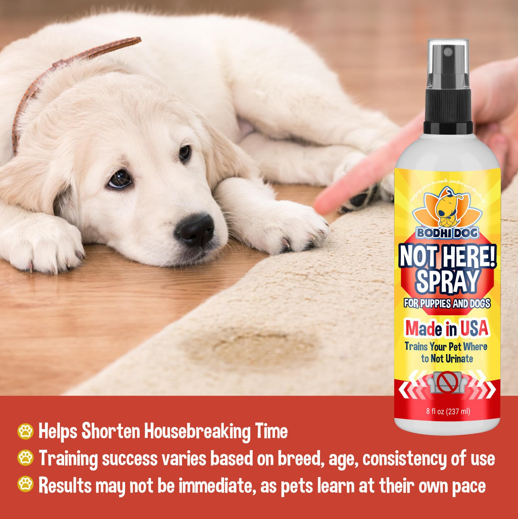 Bodhi Dog Not Here Spray