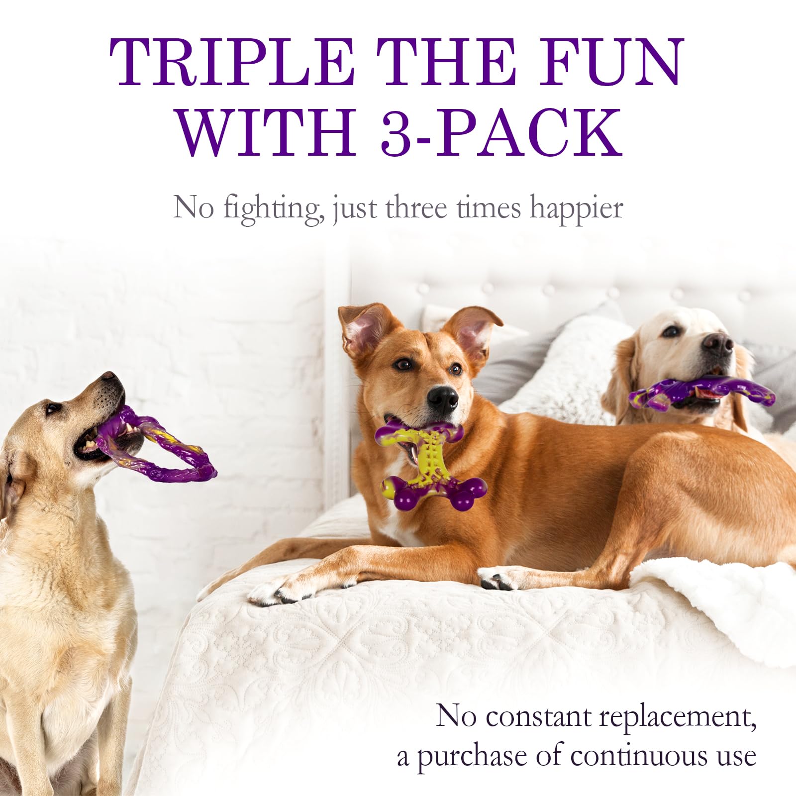 Tough Dog Toys for Aggressive Chewers 3 Pack