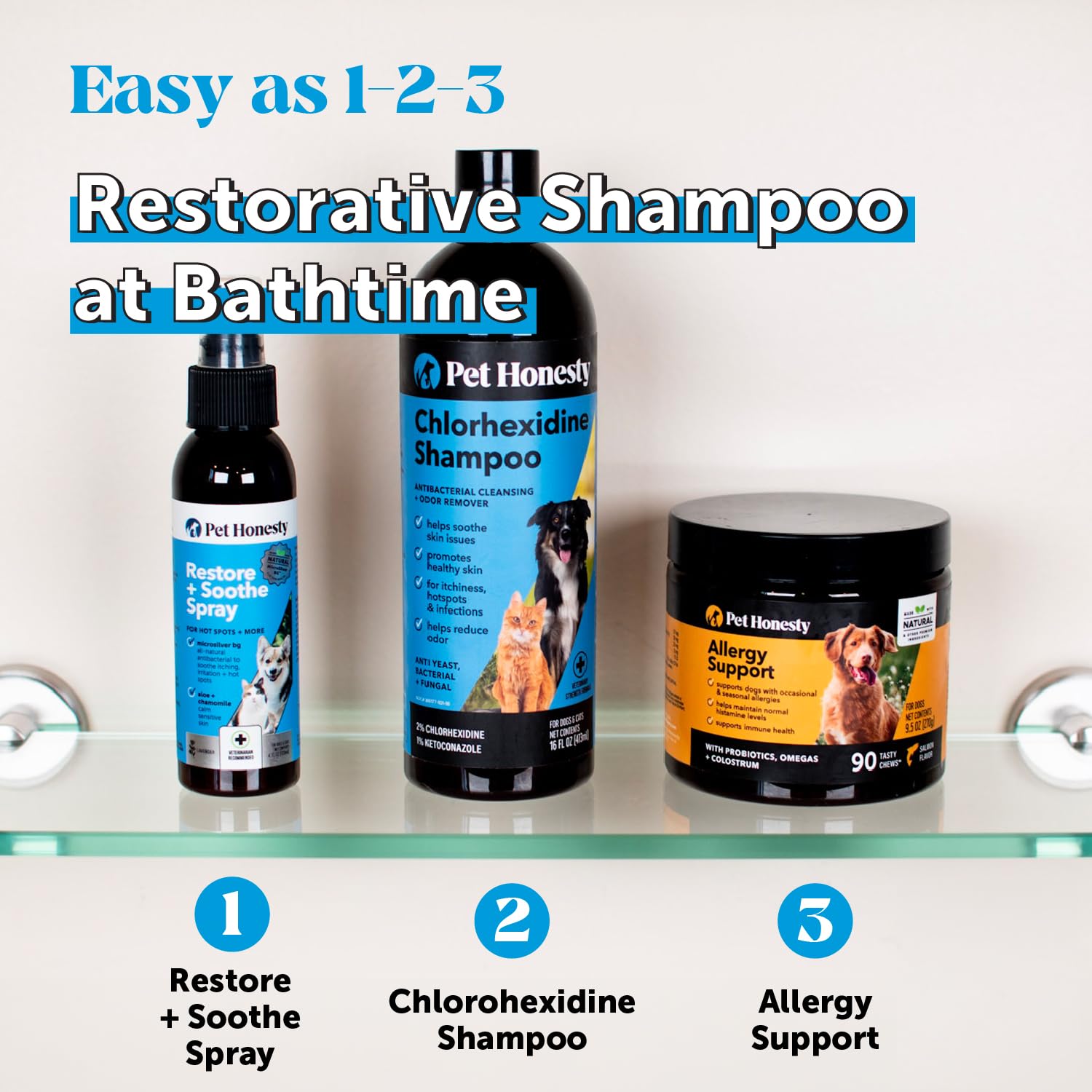 Chlorhexidine Cat & Dog Seasonal Itch Relief Shampoo 16 oz