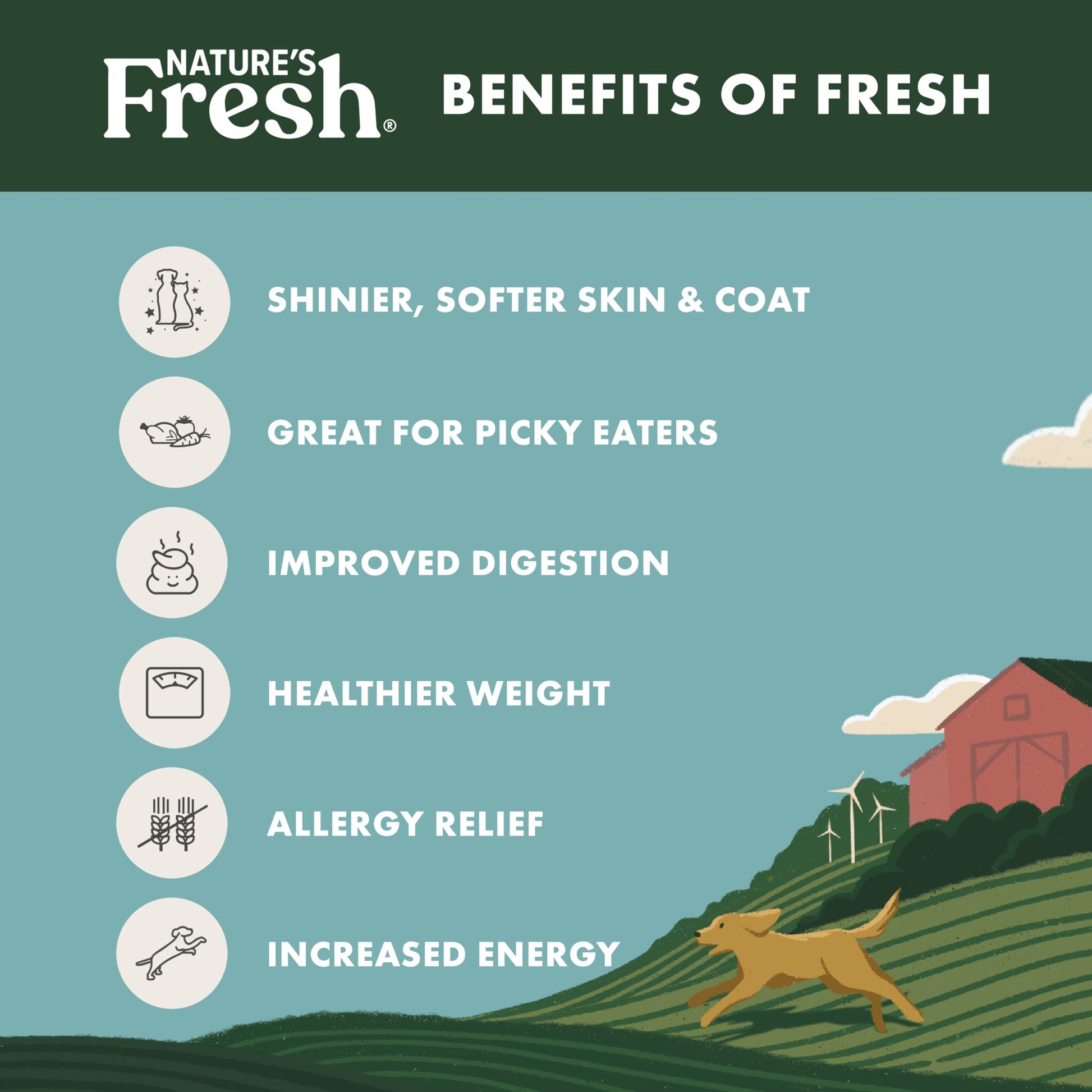 FreshPet Turkey Recipe with Spinach, Cranberries & Blueberries, 1 Lb
