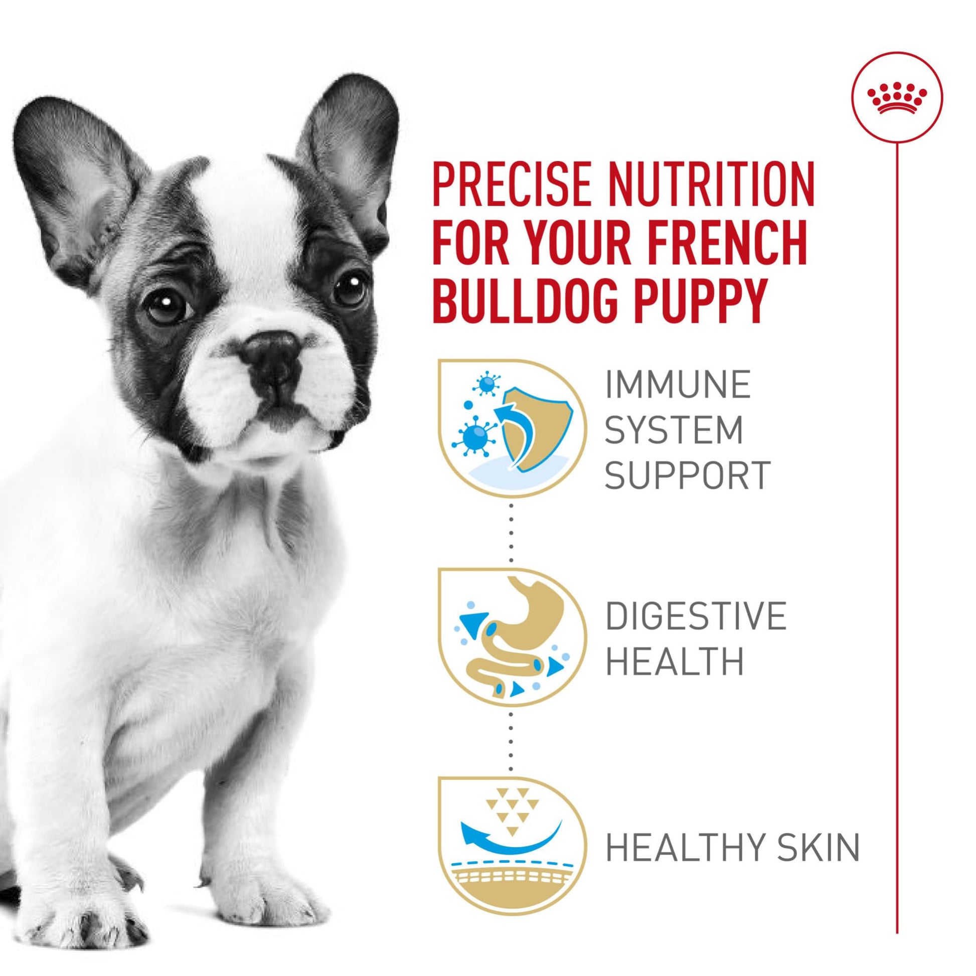 Royal Canin French Bulldog Puppy Dry 10.5 lb Bag