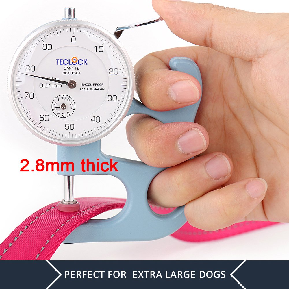 Double Handle Dog Leash 6ft Long