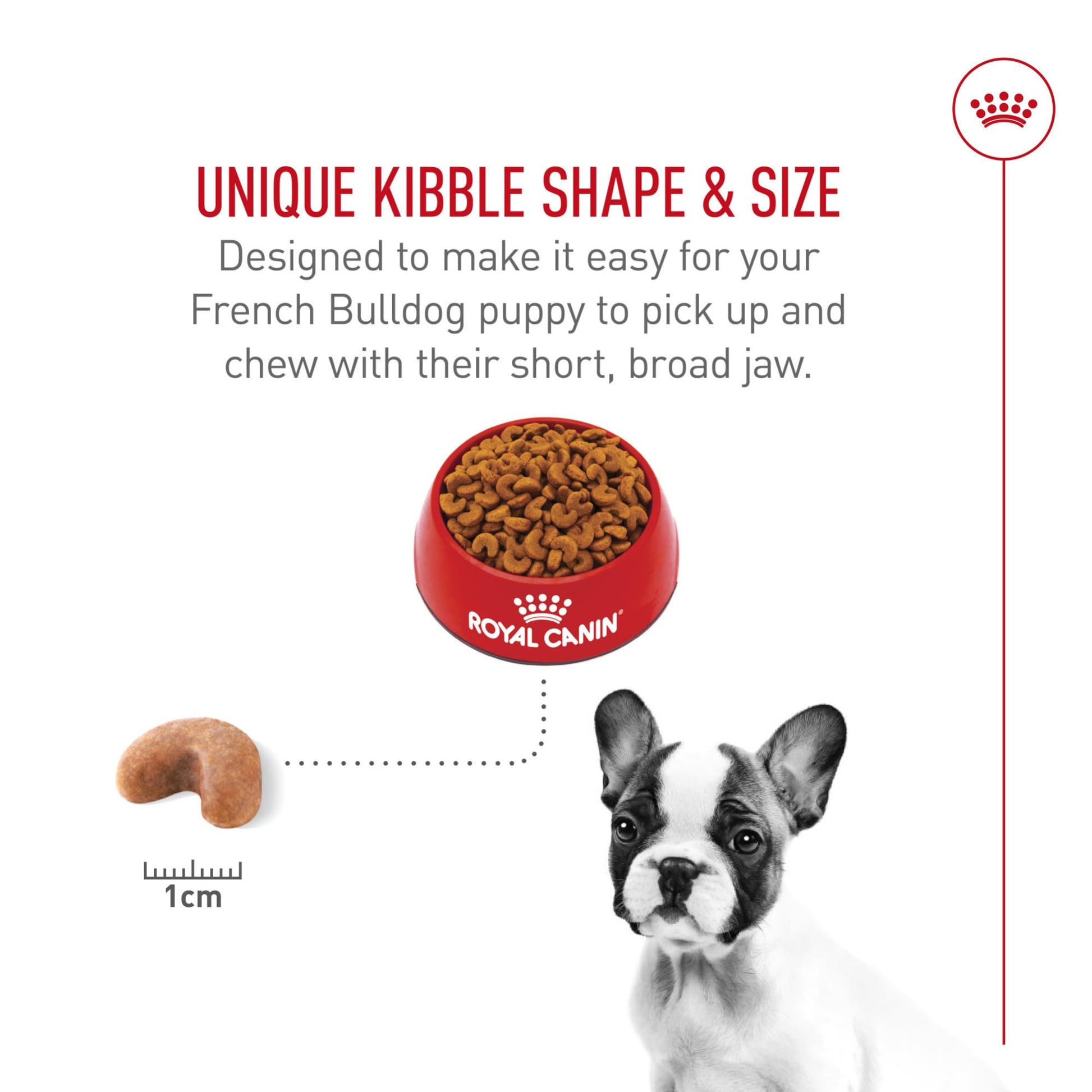 Royal Canin French Bulldog Puppy Dry 10.5 lb Bag