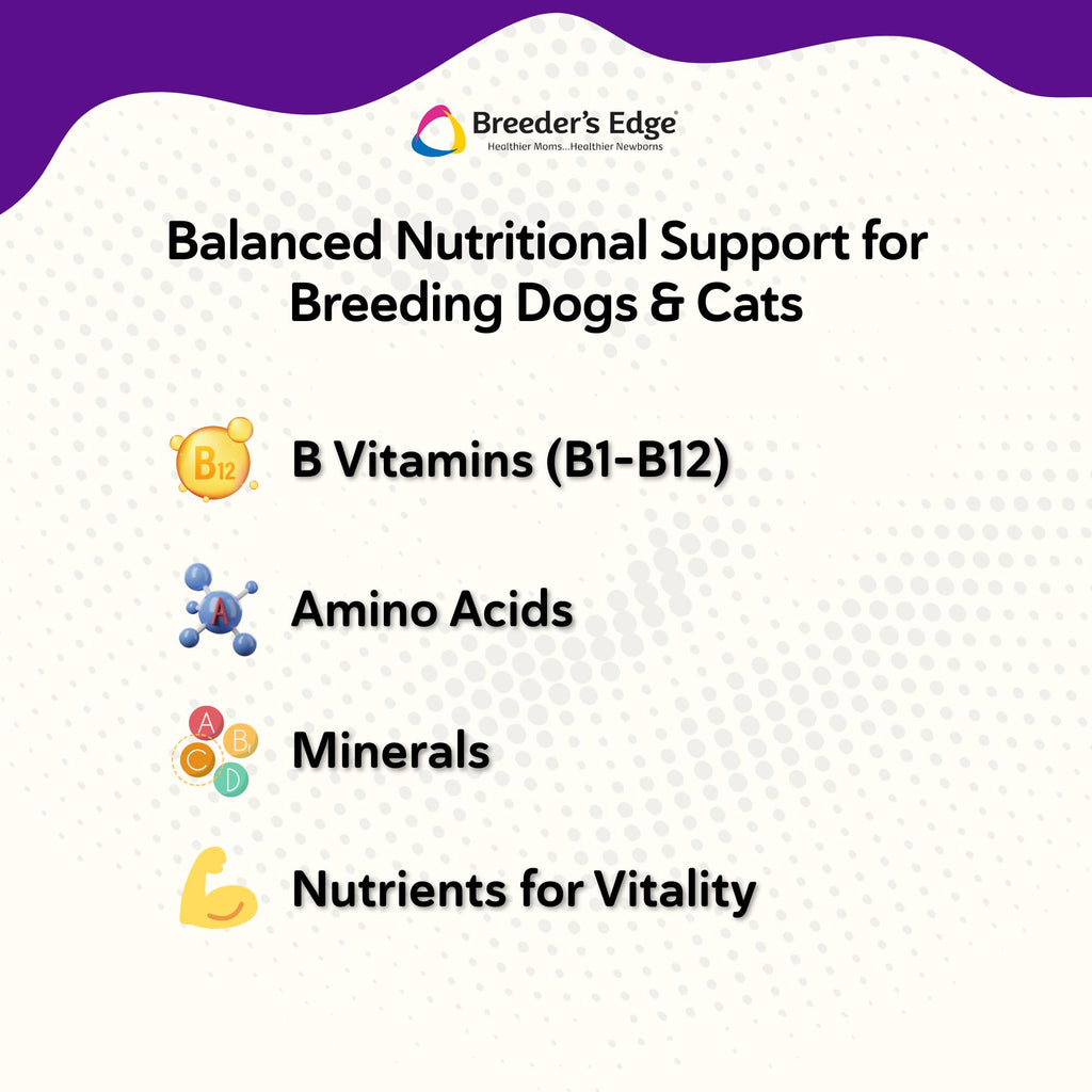 B Strong Powder Vitamin Supplement for Dogs and Cats 300g