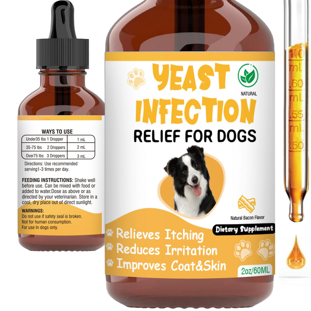 Natural Yeast Infection Treatment for Dogs