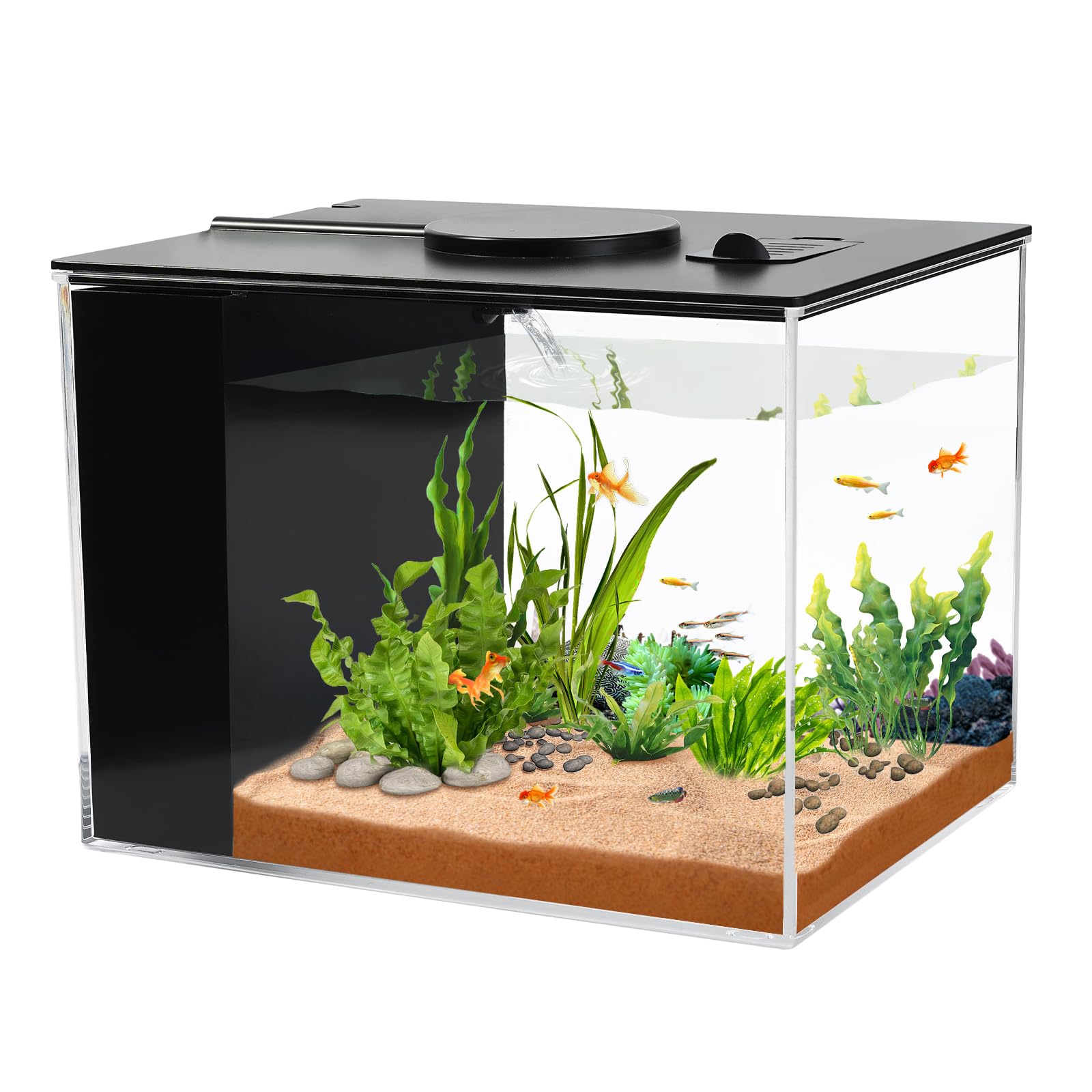 Fish Tank 1 Gallon with LED Light and Water Filter Pump