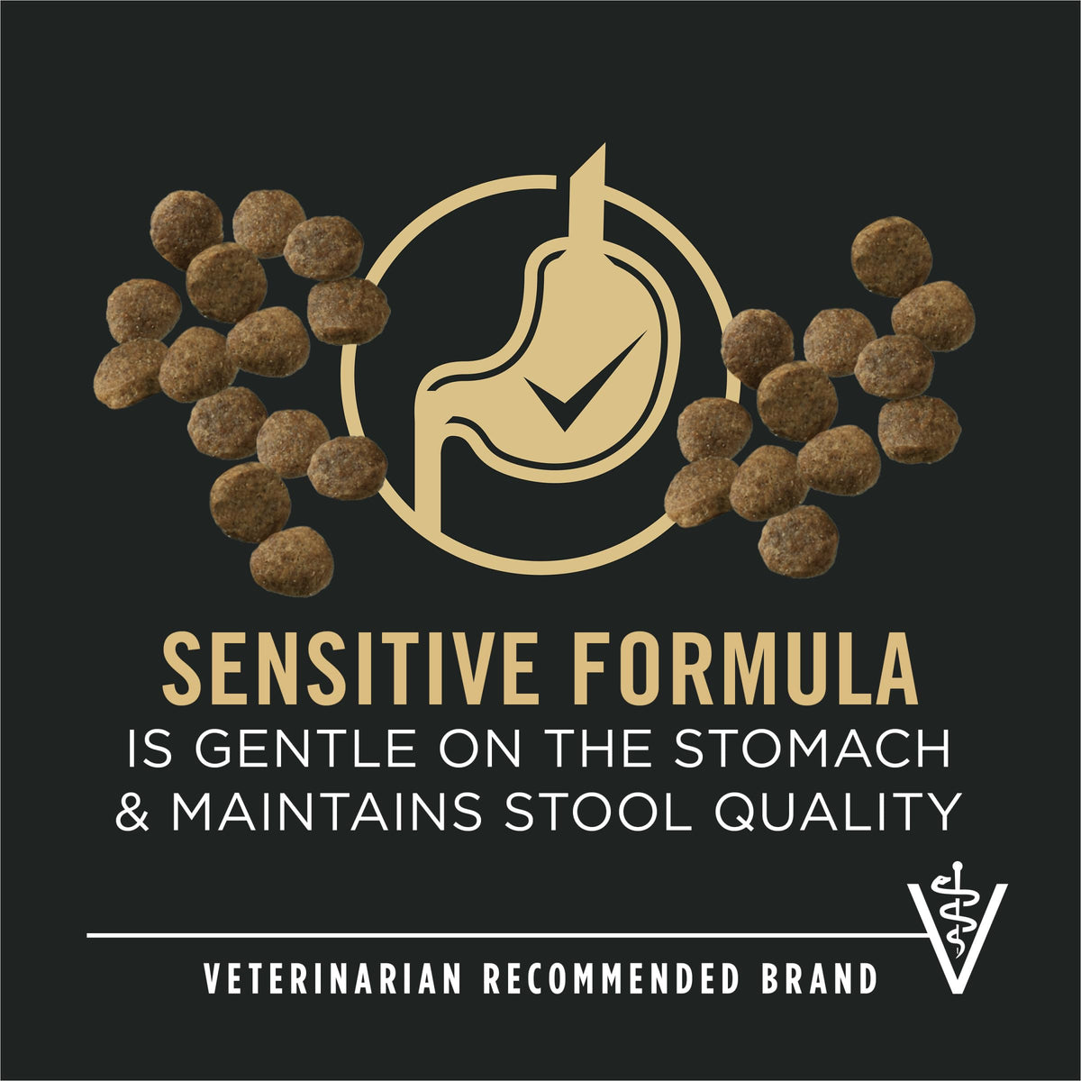 Purina Pro Plan Sensitive Skin & Stomach Puppy Dog Food, Salmon, 4 lb Bag