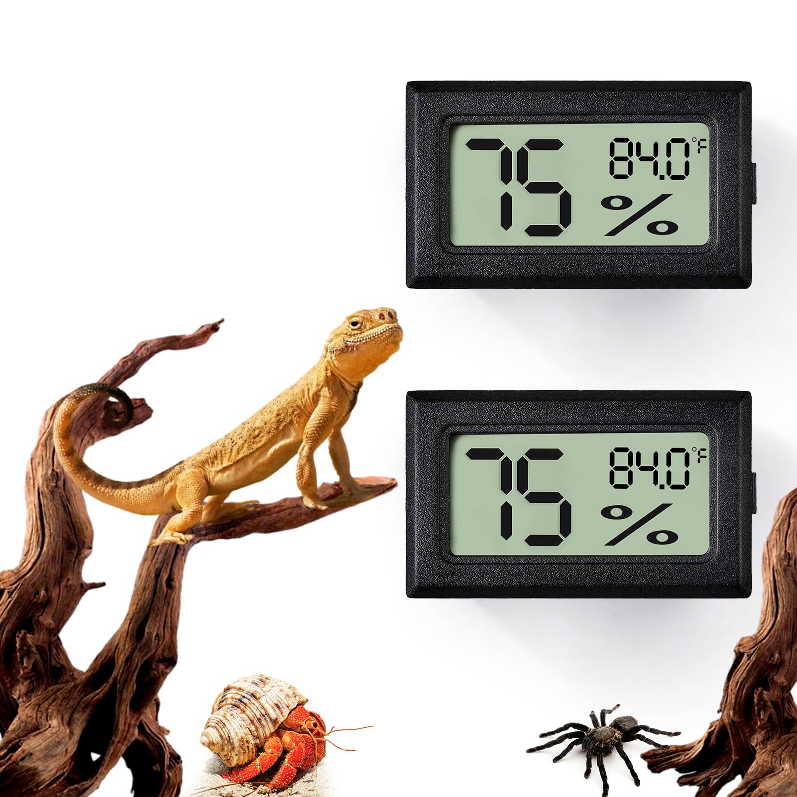 Rectangle Reptile Thermometer and Humidity Gauge for Reptiles