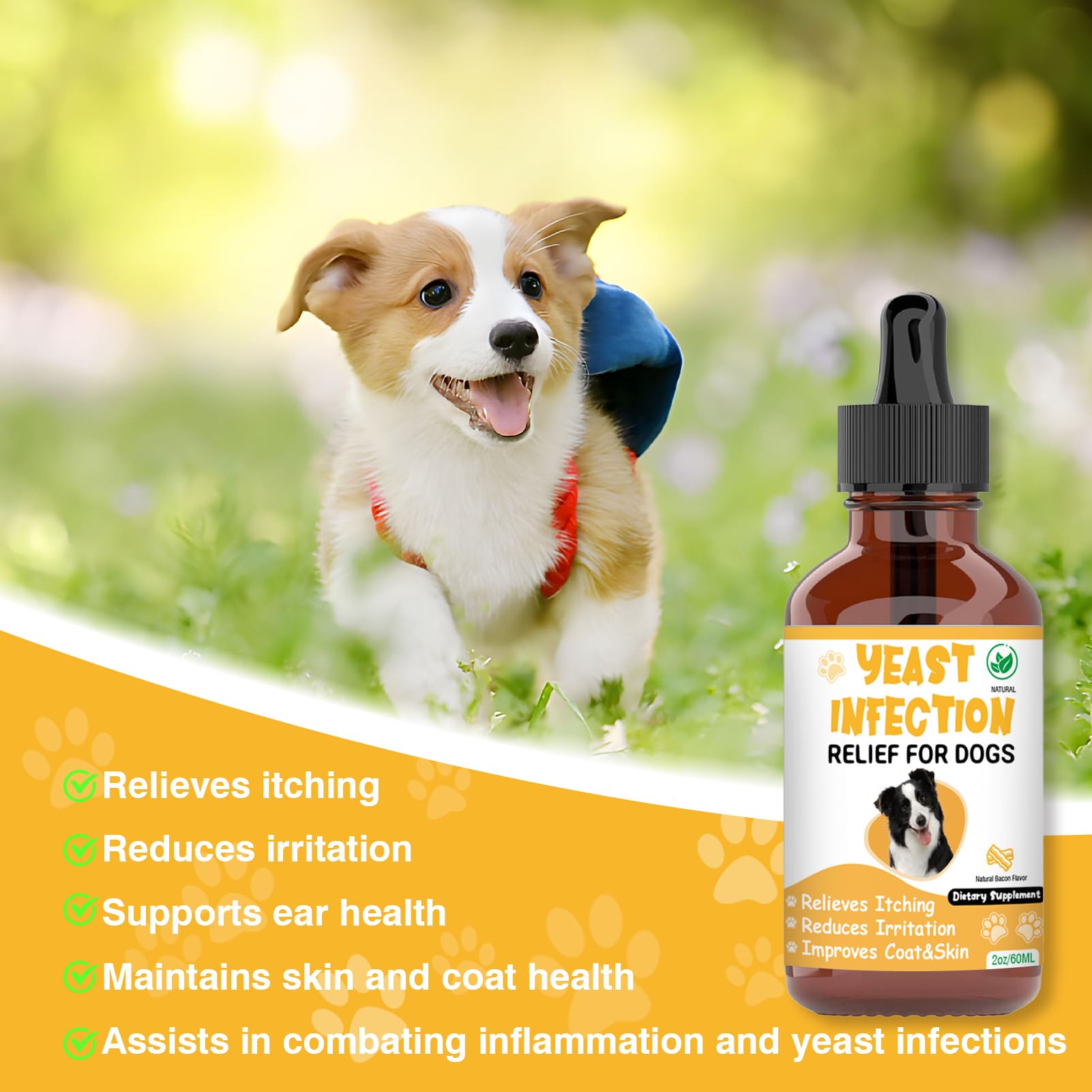 Natural Yeast Infection Treatment for Dogs