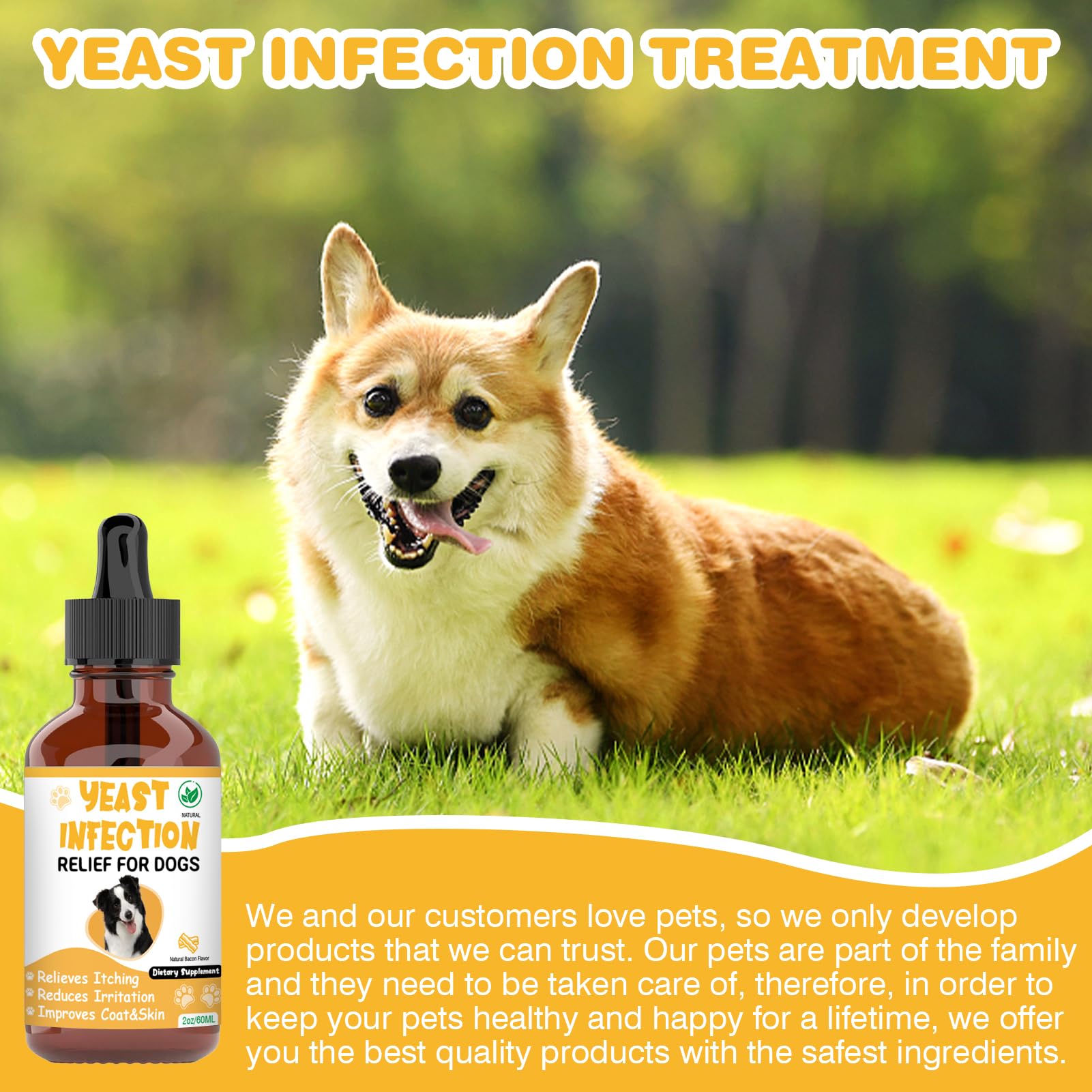 Natural Yeast Infection Treatment for Dogs