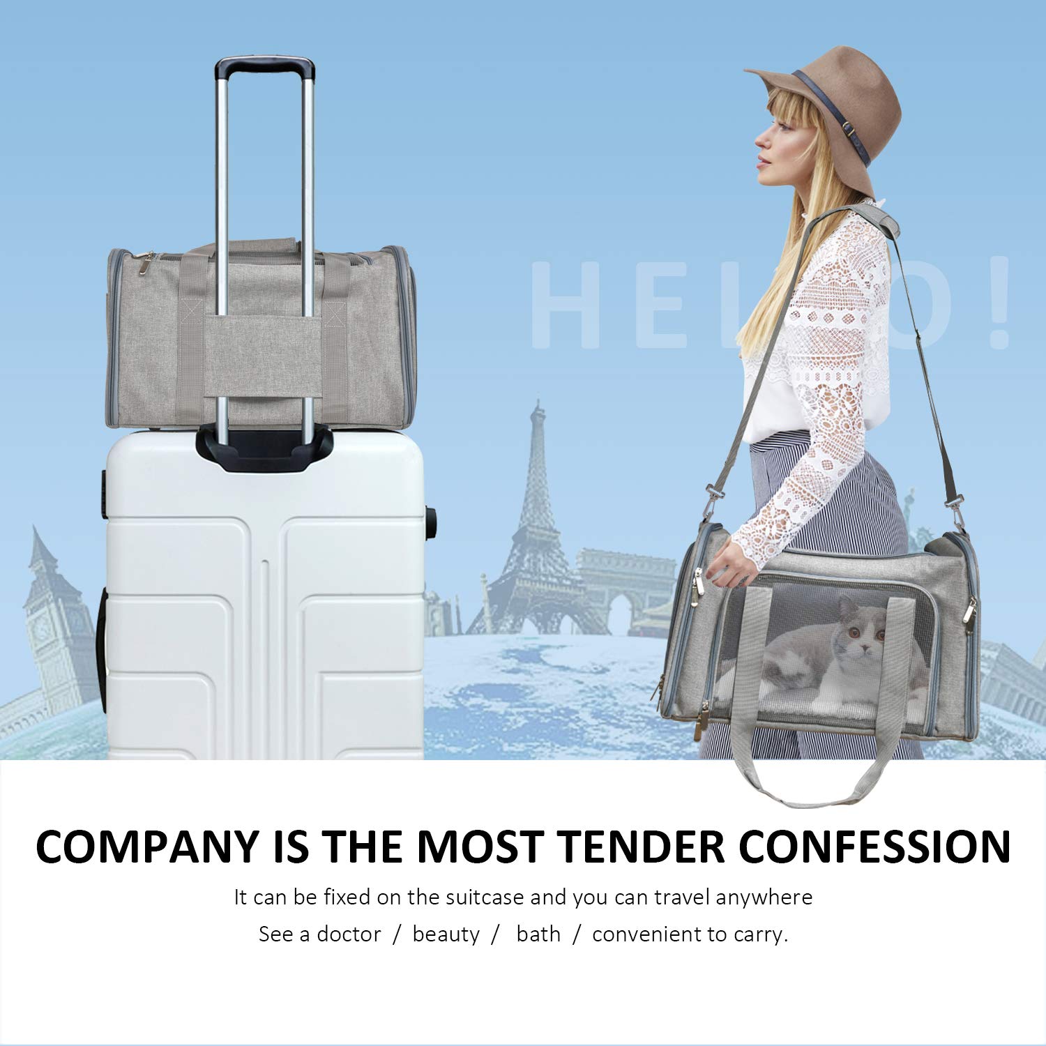 Airplane Approves Pet Carrier For Small Pets